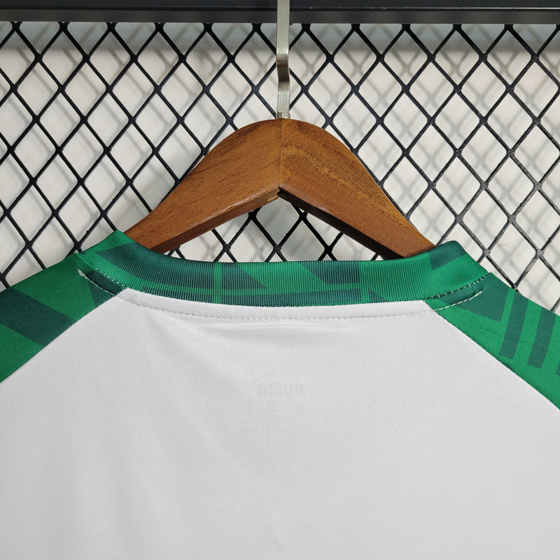 Camisa Palmeiras Treino II 23/24 - Puma Torcedor Masculino